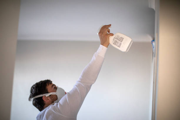 Best Black Mold Removal  in Manson, IA