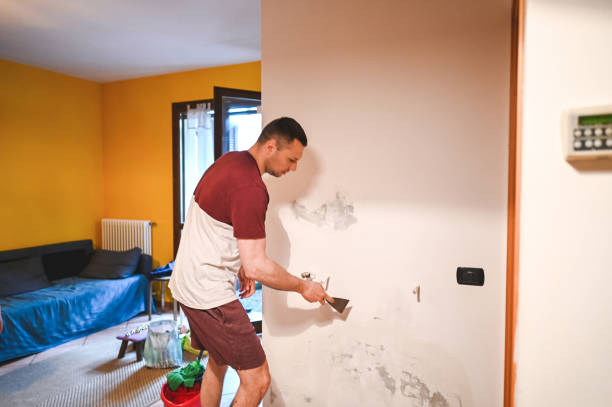 Mold Removal Process in Manson, IA
